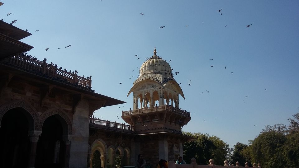 Photo of Albert Hall Museum Jaipur-The Mystery of Pink Color Unfolds! 2/9 by Unwind with Anu Brahma