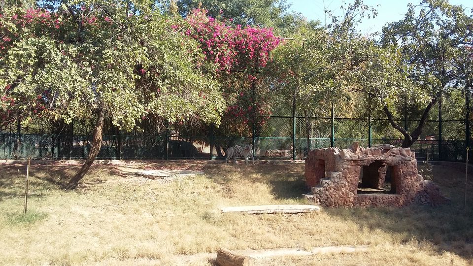 Photo of Albert Hall Museum Jaipur-The Mystery of Pink Color Unfolds! 4/9 by Unwind with Anu Brahma