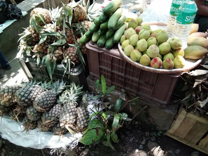 Photo of Sikkim, India by Unwind with Anu Brahma