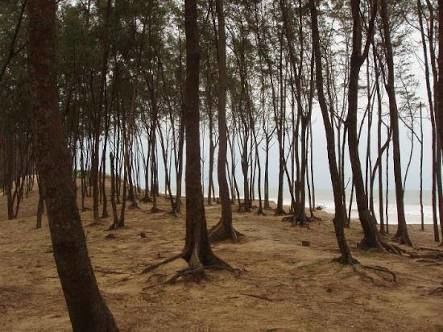 Photo of A weekend Road Trip to Digha Beach Resort-Kolkata by Anu Brahma