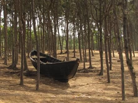 Photo of A weekend Road Trip to Digha Beach Resort-Kolkata by Anu Brahma