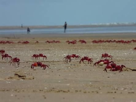 Photo of A weekend Road Trip to Digha Beach Resort-Kolkata by Anu Brahma