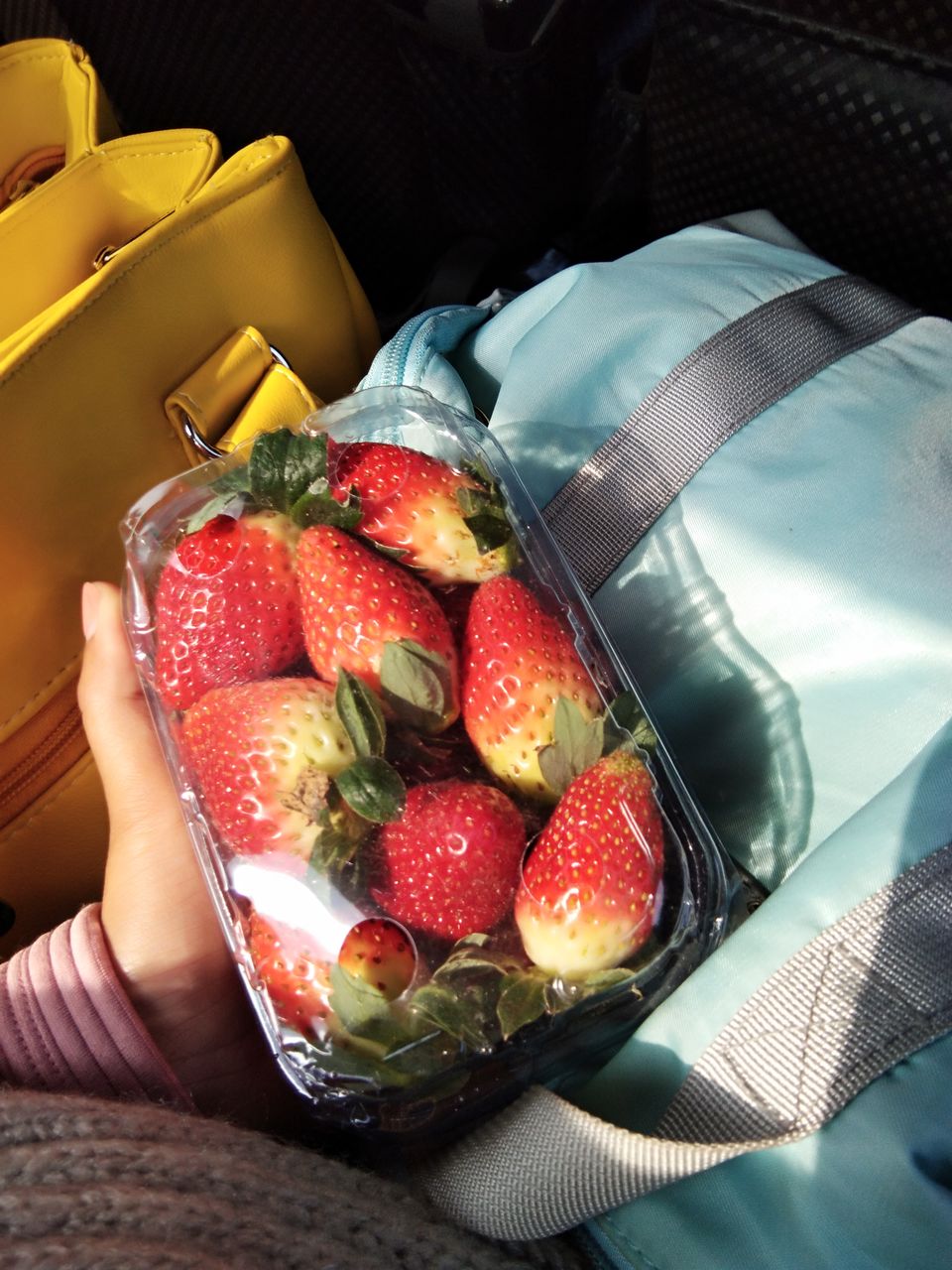 Photo of The untold story of Strawberry Village- Shillong Meghalaya Northeast India. #northeastitinerary by Unwind with Anu Brahma