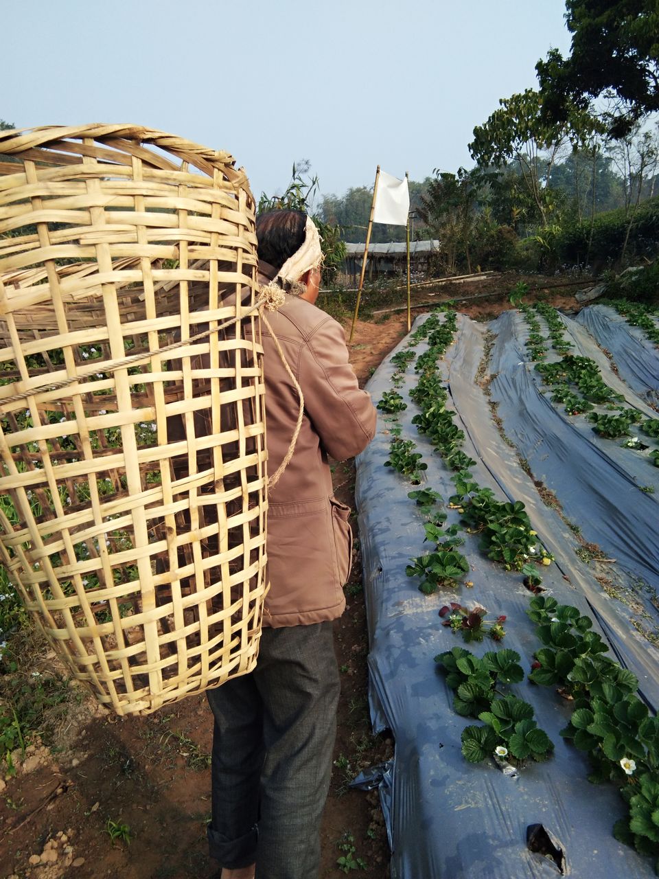 Photo of The untold story of Strawberry Village- Shillong Meghalaya Northeast India. #northeastitinerary by Unwind with Anu Brahma