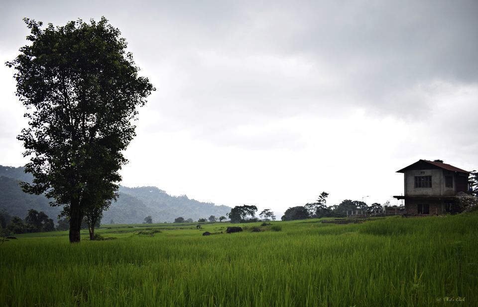 Photo of Rohini, West Bengal, India by Mit Roy