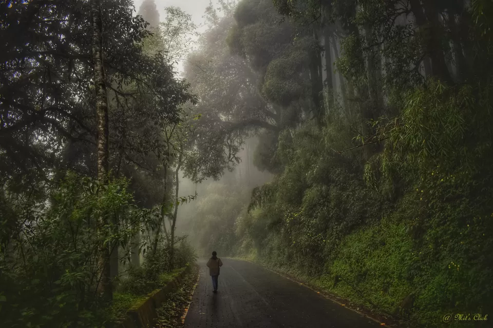 Photo of Lepcha Jagat, West Bengal, India by Mit Roy