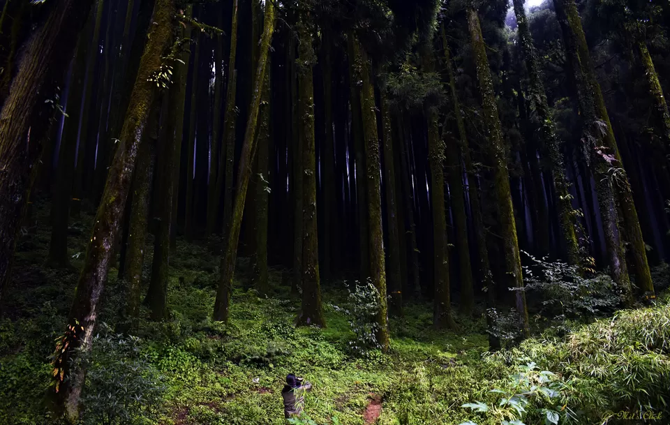 Photo of Lepcha Jagat, West Bengal, India by Mit Roy