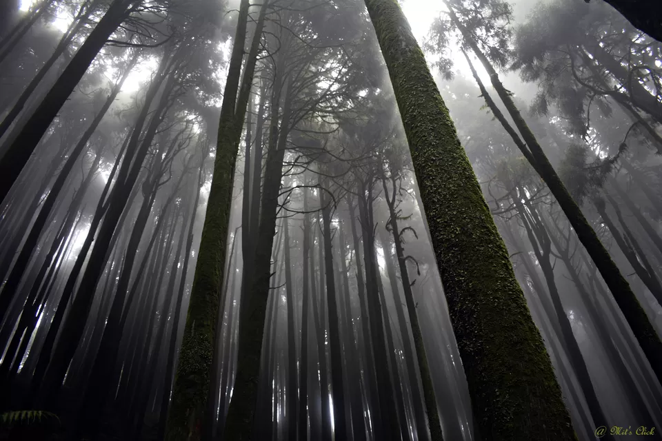 Photo of Lepcha Jagat, West Bengal, India by Mit Roy