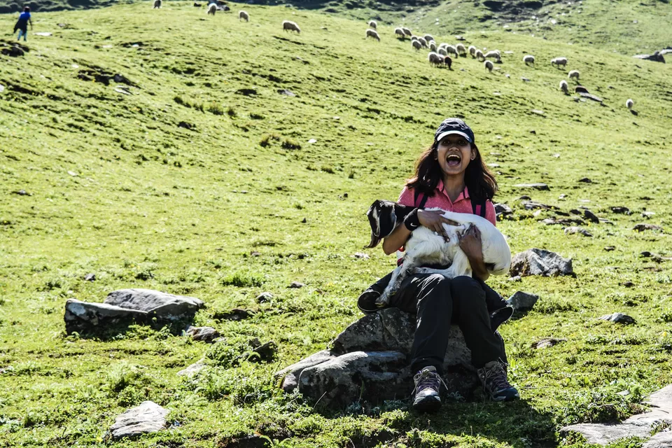 Photo of Bhrigu Lake trek [Complete package of adventures trek - 14000Feet] by Gaurav Singh - Himalayan hikes