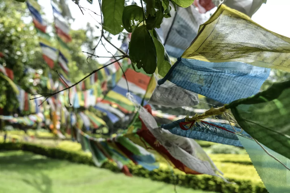 Photo of lumbini bazar, Lumbini Sanskritik, Mid-Western Development Region, Nepal by Gaurav Singh - Himalayan hikes