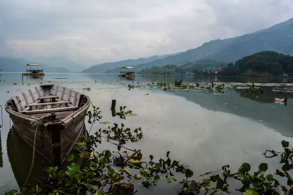 Photo of Pokhara, Mid-Western Development Region, Nepal by Gaurav Singh - Himalayan hikes