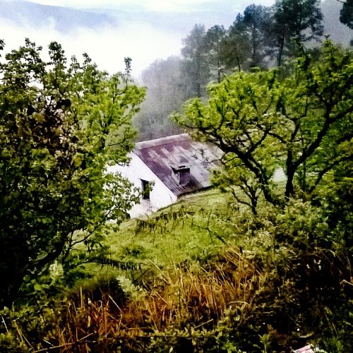 Photo of Those remote corners of the hills 2/17 by Parnashree Devi