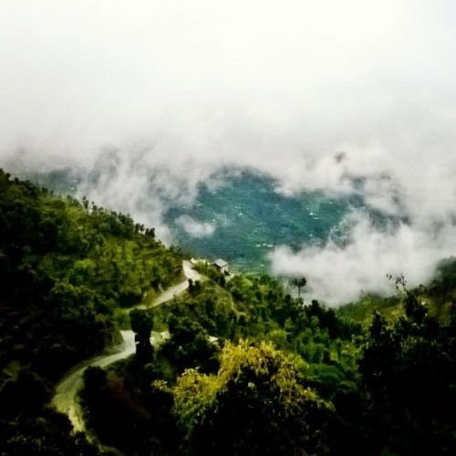 Photo of Those remote corners of the hills 3/17 by Parnashree Devi