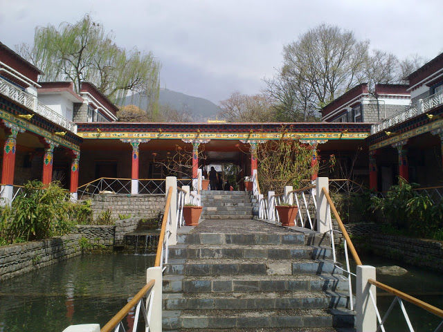 Photo of My Trip to Mcleordganj 6/6 by Parnashree Devi