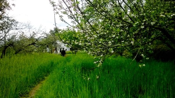 Photo of Those remote corners of the hills 6/17 by Parnashree Devi