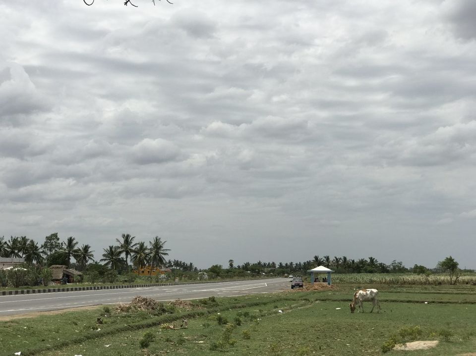 Photo of Beautiful untouched hills in Tamilnadu 1/1 by Traveller
