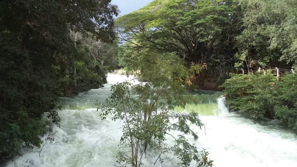 Photo of KRS Dam Road, Krishnarajasagara, Karnataka, India by Traveller