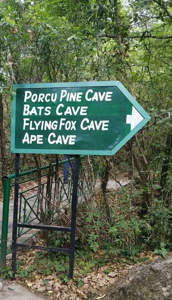 Photo of Eco Cave Garden Kmvn, Sherwani, Nainital, Uttarakhand, India by WabiSabi