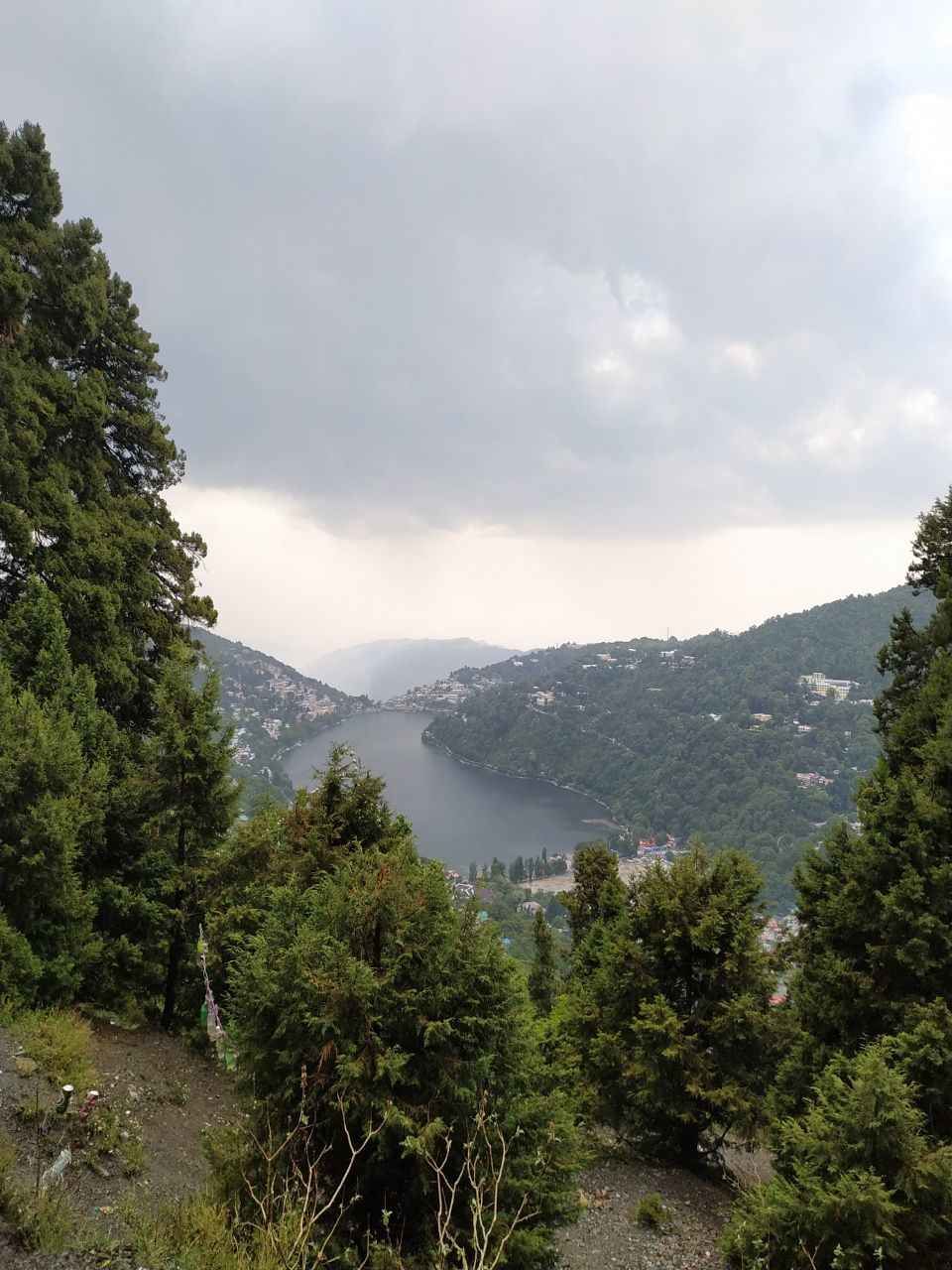 Photo of China Peak, Nainital, Uttarakhand by WabiSabi