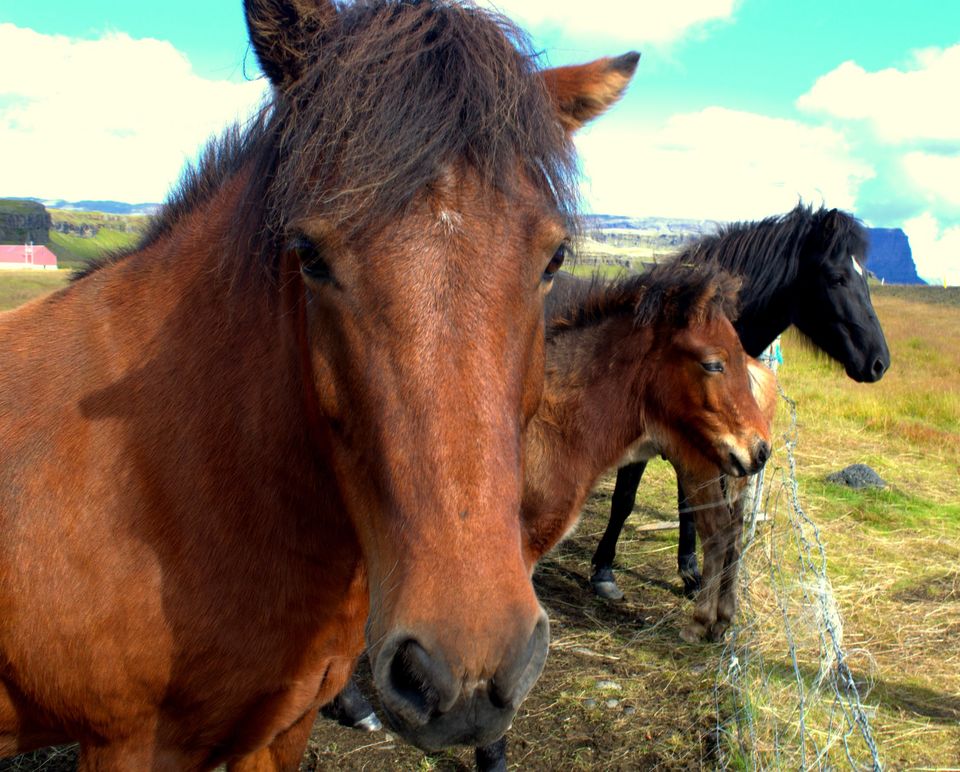 Photo of Iceland by rishabh366840