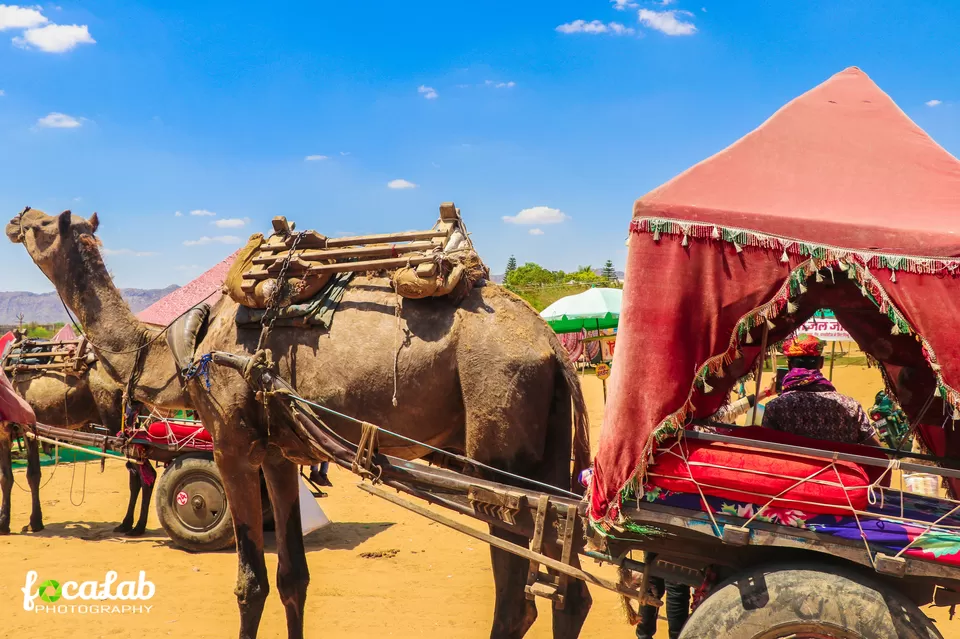 Photo of Pushkar Desert Camp, Rajasthan, India by Ankit Kumar