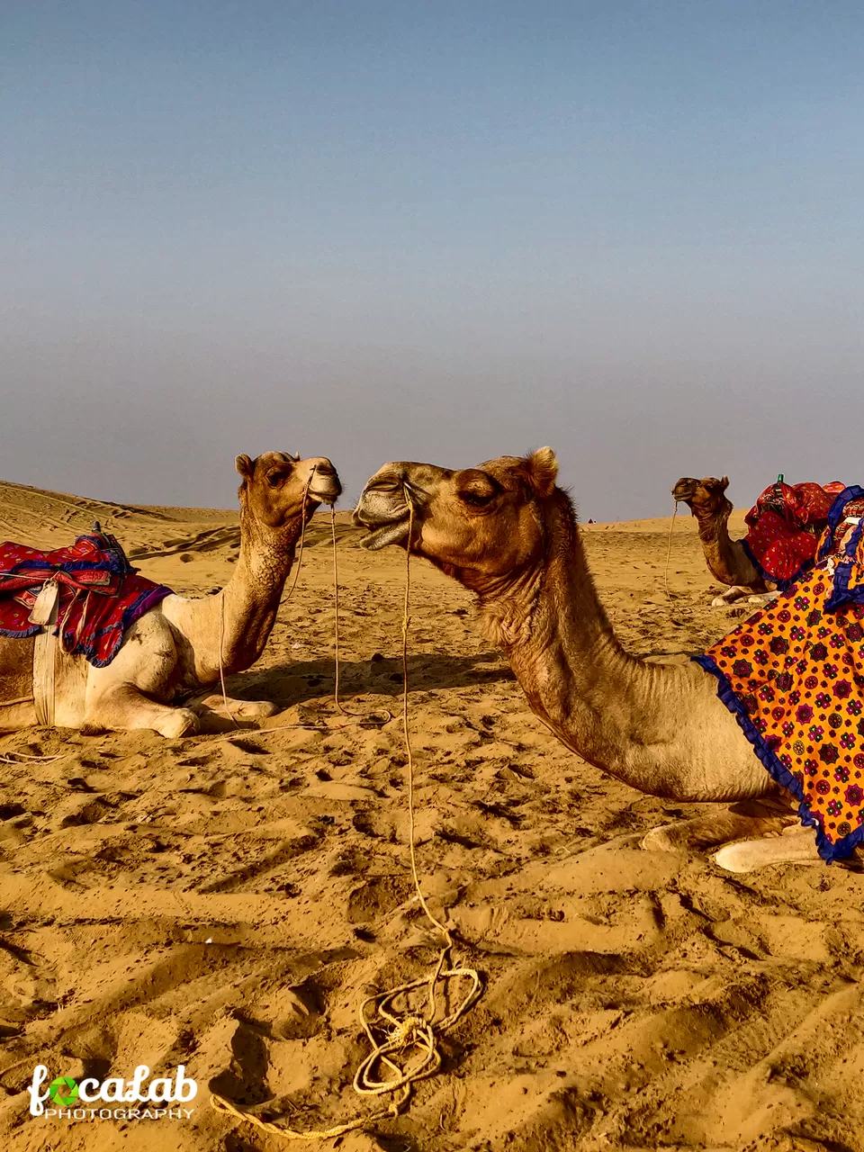 Photo of Sam Sand Dunes Jaisalmer, Sam, Rajasthan, India by Ankit Kumar
