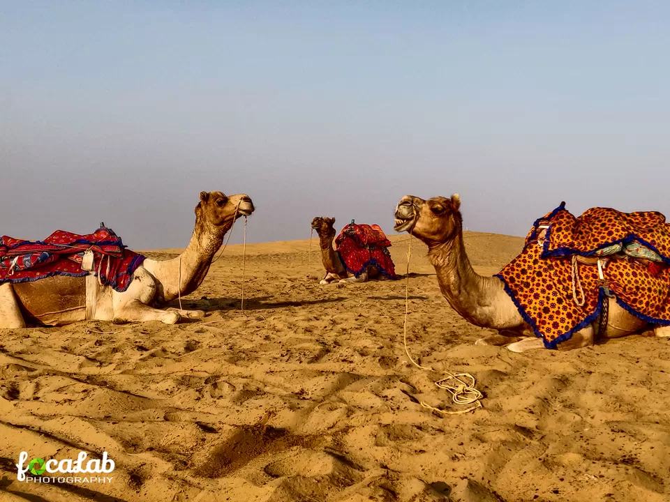 Photo of Sam Sand Dunes Jaisalmer, Sam, Rajasthan, India by Ankit Kumar