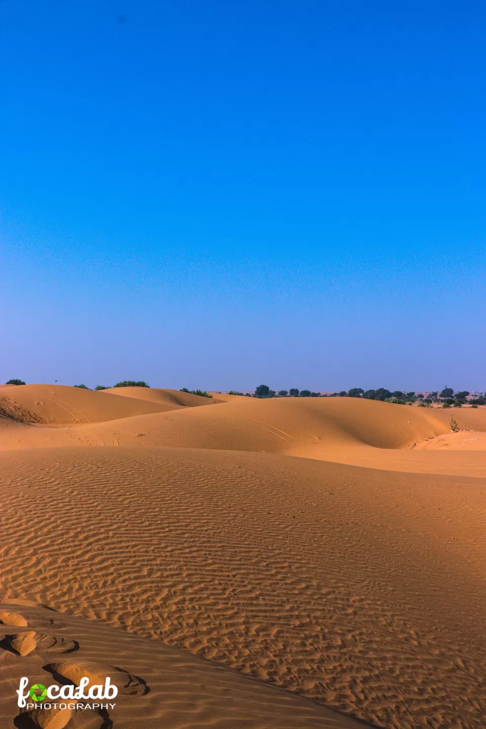 Photo of Jaisalmer The Golden City by Ankit Kumar