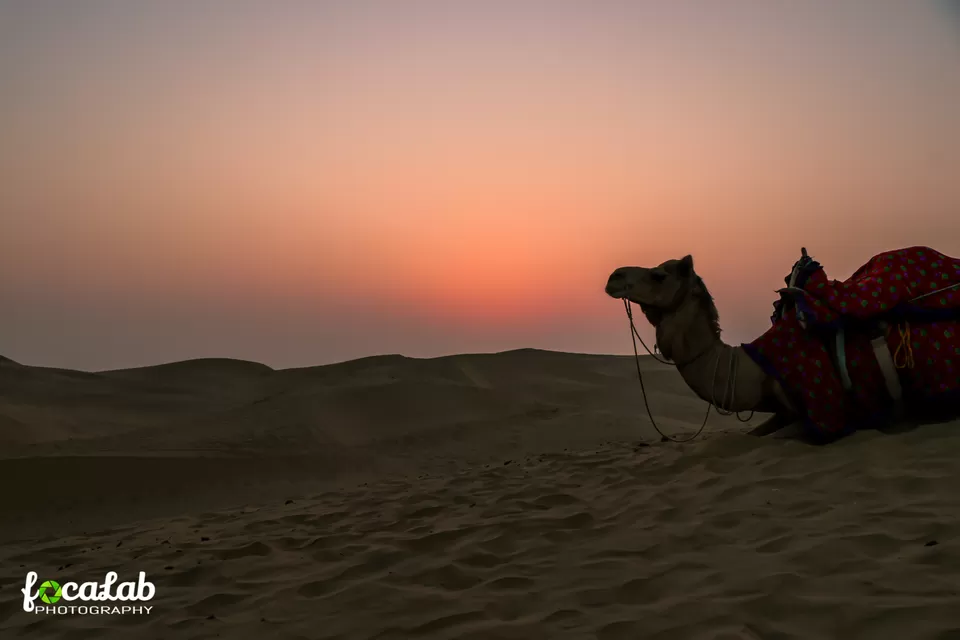 Photo of Jaisalmer The Golden City by Ankit Kumar