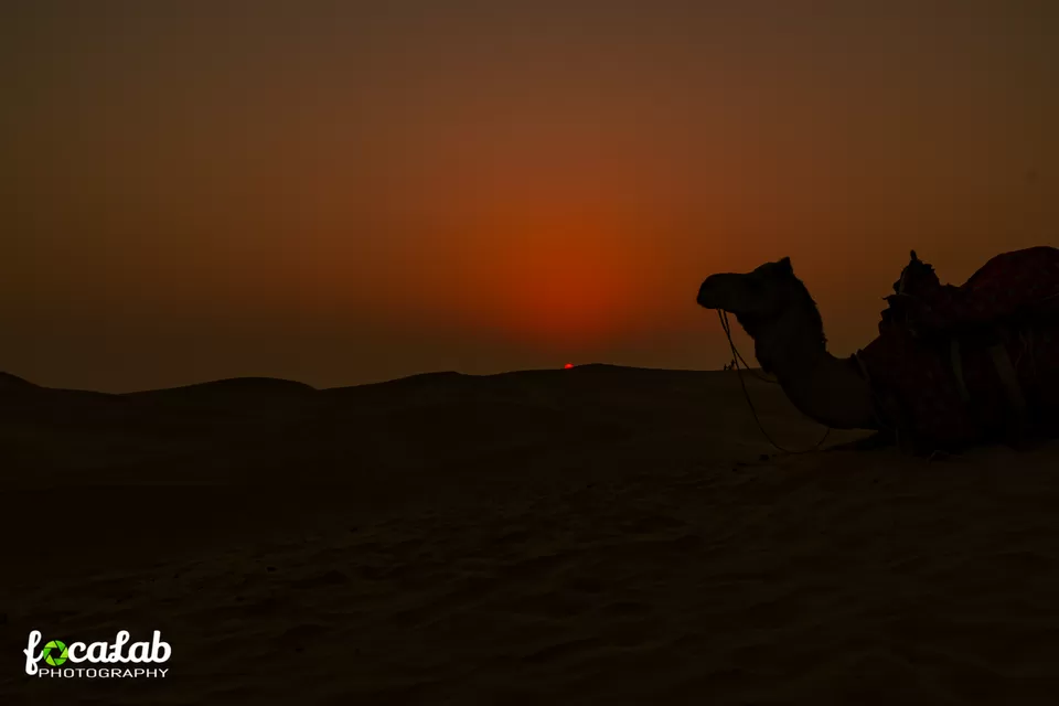 Photo of Jaisalmer The Golden City by Ankit Kumar