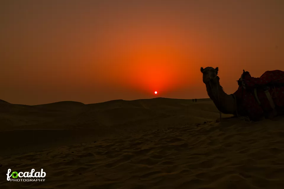 Photo of Jaisalmer The Golden City by Ankit Kumar