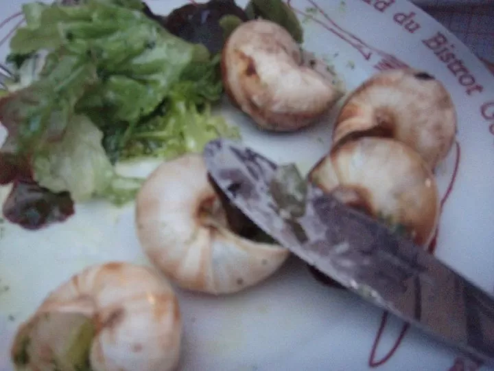 Photo of Paris, France by Unshod Rover