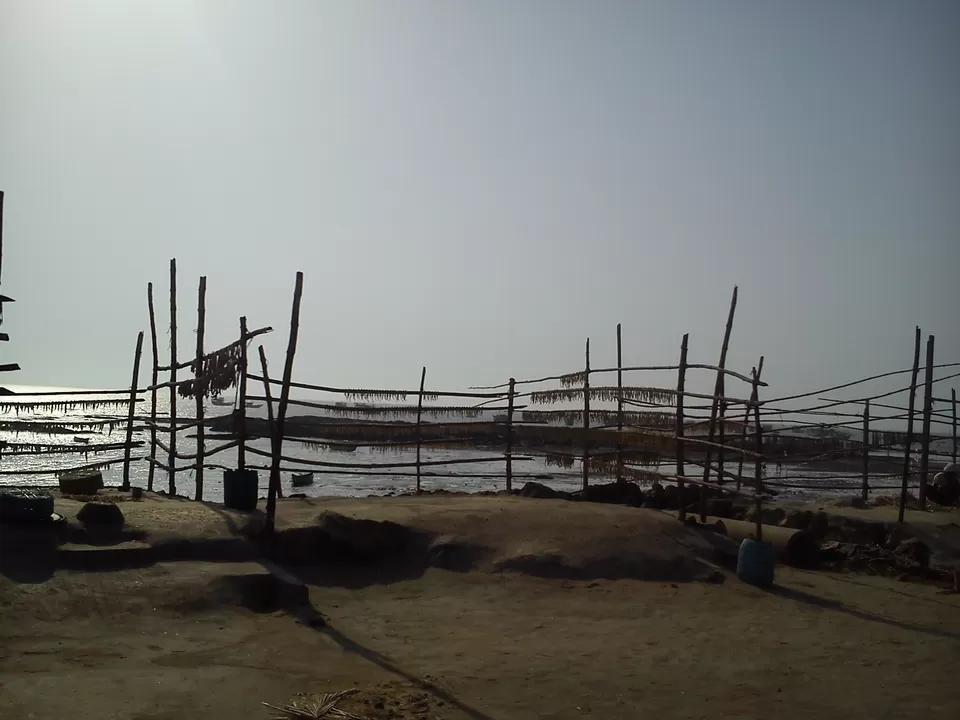 Photo of UTTAN BEACH, Uttan Pali Road, Uttan, Mira Bhayandar, Maharashtra, India by Unshod Rover