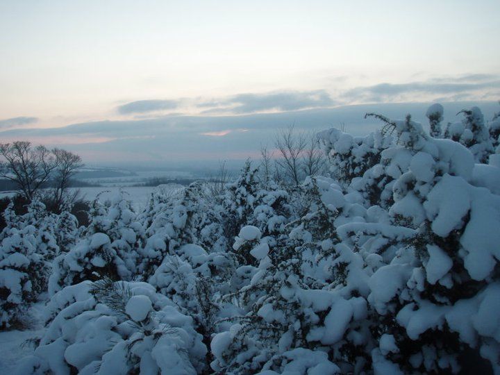 Photo of Slow Vacationing in Slovakia: Sauntering
Through Varying Degrees of Snow by Unshod Rover