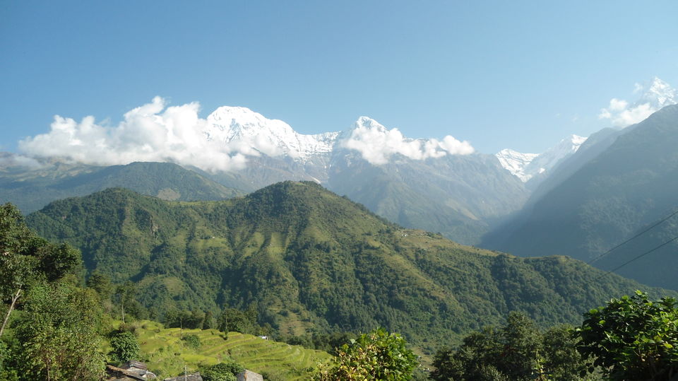 Photo of Mardi Himal Trek 1/1 by High Pass Adventure