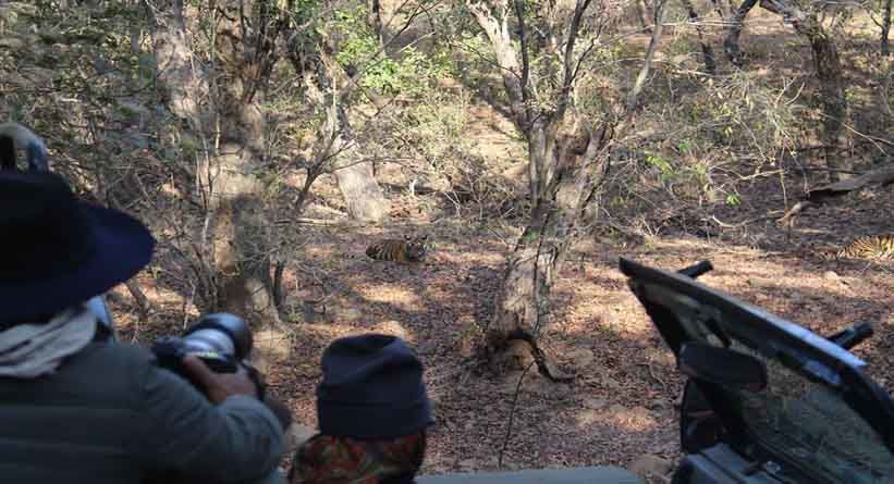 Photo of Ranthambore National Park, Prempura, Rajasthan, India by Varun Srivastava