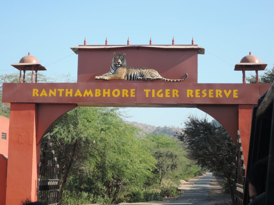 Photo of Ranthambore National Park - India's Most Visited National Park 11/13 by Varun Srivastava