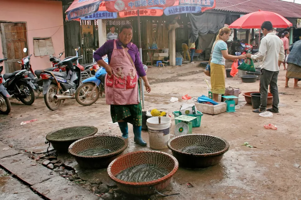 Photo of Muang Sing, Luang Namtha, Laos by lucy m