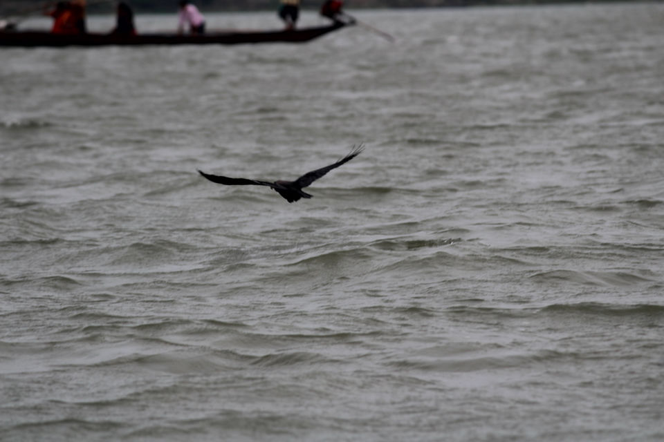 Photo of Chilika Lake, Odisha, India by Samir Anand