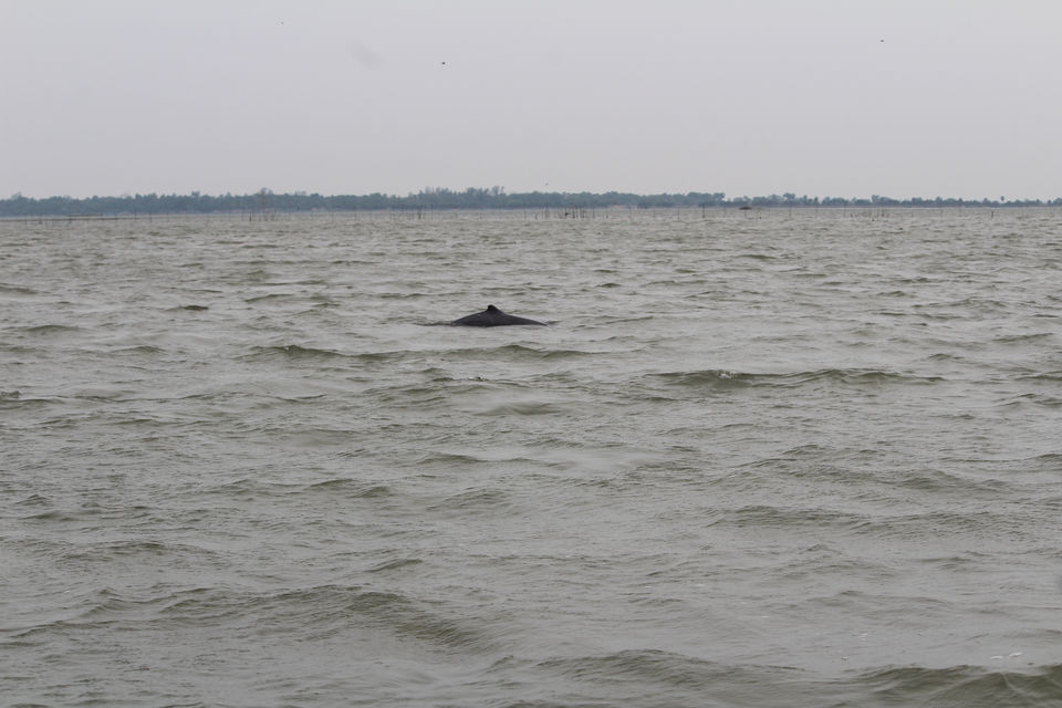 Photo of Chilika Lake, Odisha, India by Samir Anand