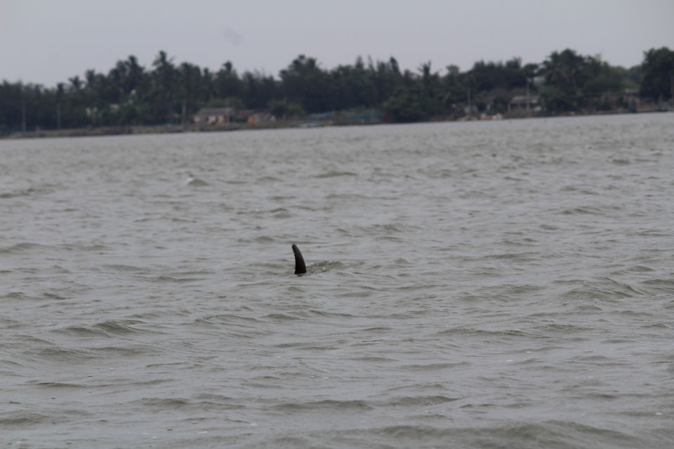 Photo of Chilika Lake, Odisha, India by Samir Anand