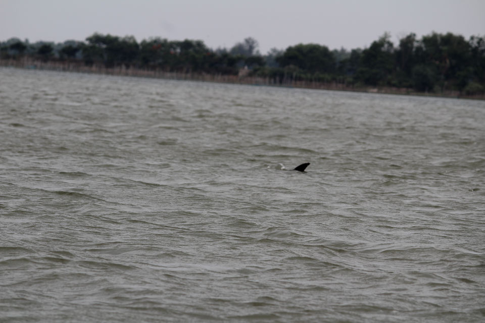Photo of Chilika Lake, Odisha, India by Samir Anand