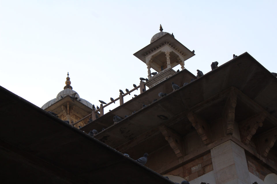 Photo of Albert Hall Museum, Jaipur, Rajasthan, India by Samir Anand