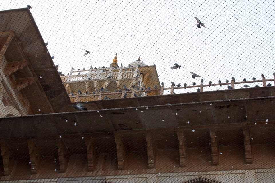 Photo of Albert Hall Museum, Jaipur, Rajasthan, India by Samir Anand