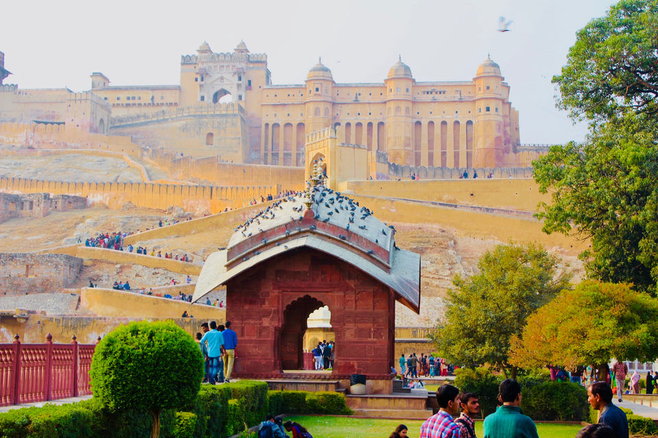 Photo of PADHARO 'PINK CITY' - A HAPPY JAIPUR TRIP by Samir Anand