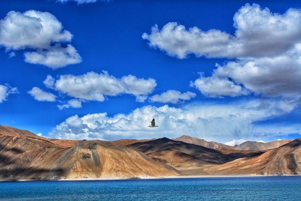 Photo of tis the season of ladakh. by Sabhyaa Jaswal