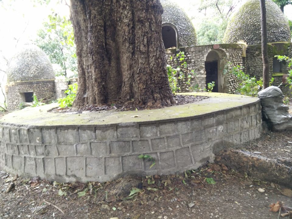 Photo of The Beatles Ashram - Other Side of Rishikesh by NINAD TRIVEDI