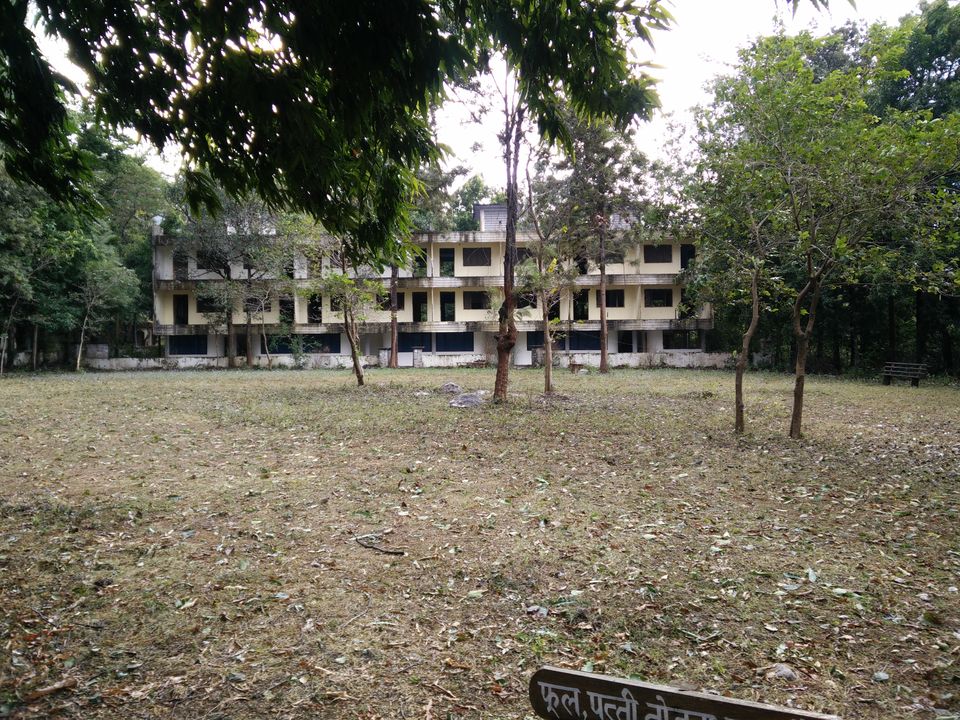 Photo of The Beatles Ashram - Other Side of Rishikesh by NINAD TRIVEDI
