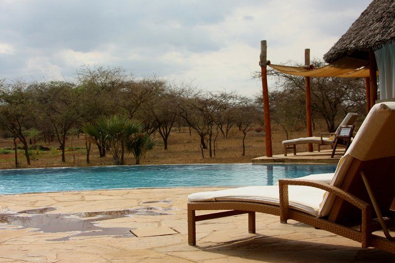 Photo of Buzzing Botswana: 5 Amazing Reasons Why It Should Be Your Next Travel Destination 2/4 by Bookallsafaris.com