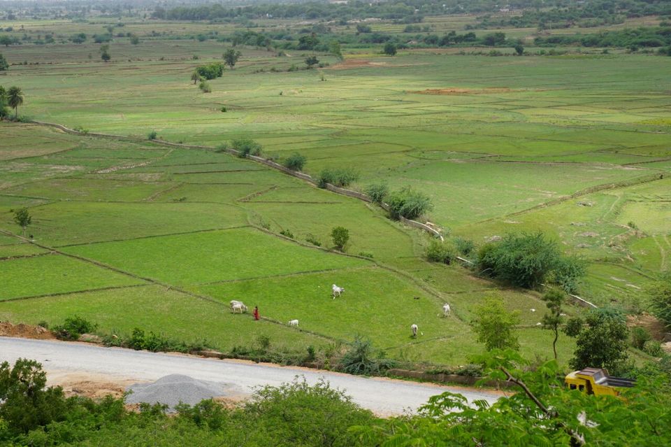 Photo of Panagal, Telangana, India by Prathibha Pamujula